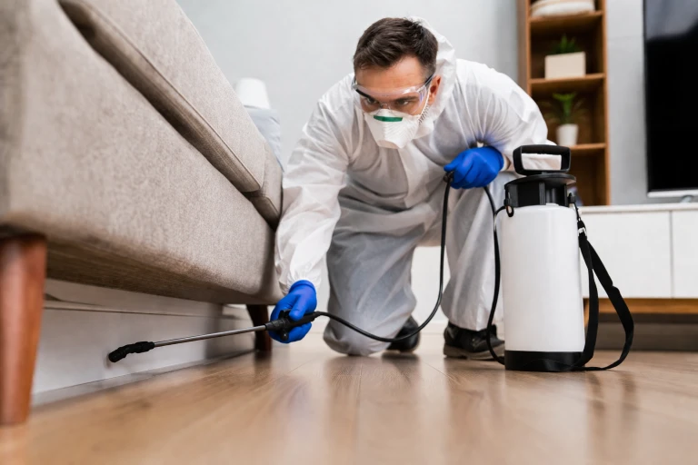 Pest Control Treatment Time | How Long Does It Take?