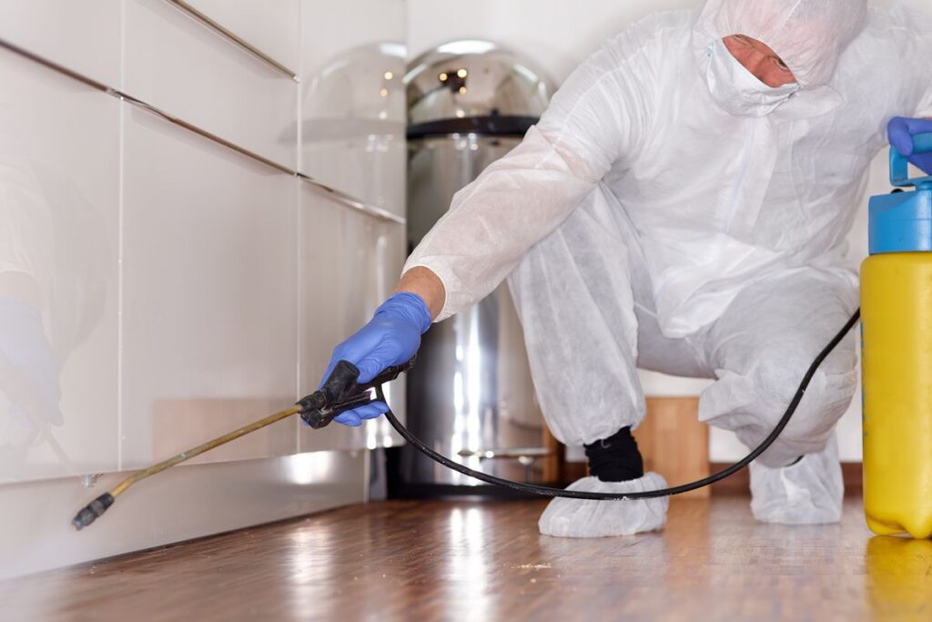 Pest Control Edmonton bugsnpests Bed Bugs, Mice, Cockroaches